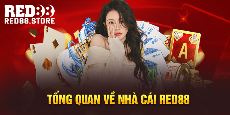 Các đặc điểm chính của ngày tháng năm (YYYY) - Ricwin