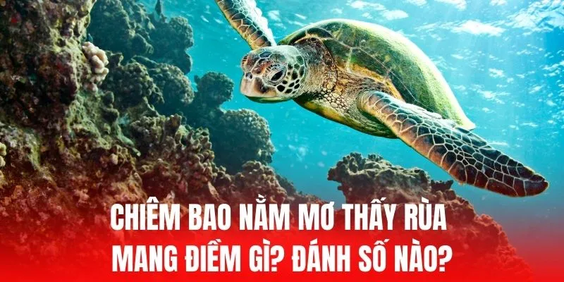 I999 là một trang web chơi game uy tín tại Việt Nam - I999