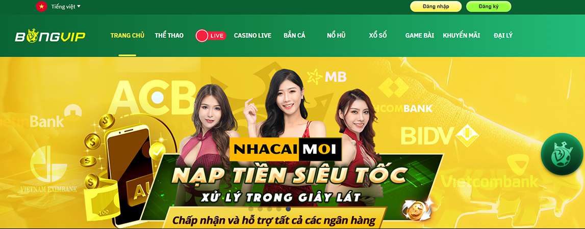 Nền tảng Thomo Fighting Cock được xếp hạng Jj88 hiện đang có uy tín tốt và chất lượng vượt trội - Jj88