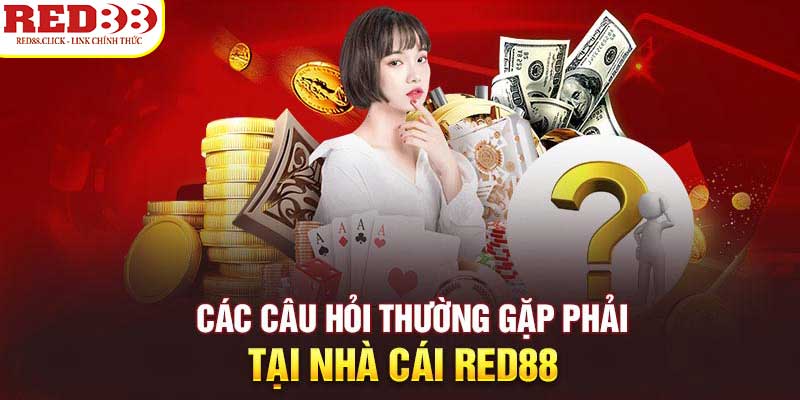 Trò chơi này rất hấp dẫn và đã nhận được xếp hạng 8Day - 8Day