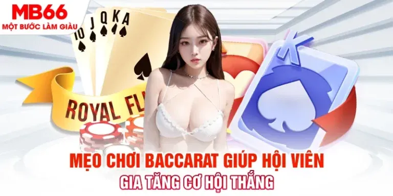 Wibo88 cung cấp nhiều sản phẩm chất lượng cao - Wibo88