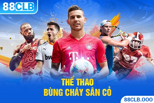 Thông tin chi tiết về quy trình ứng tuyển và tuyển dụng của F168 - F168