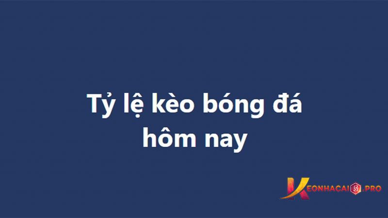 Hướng dẫn đăng nhập người dùng mới Vz99 - Vz99