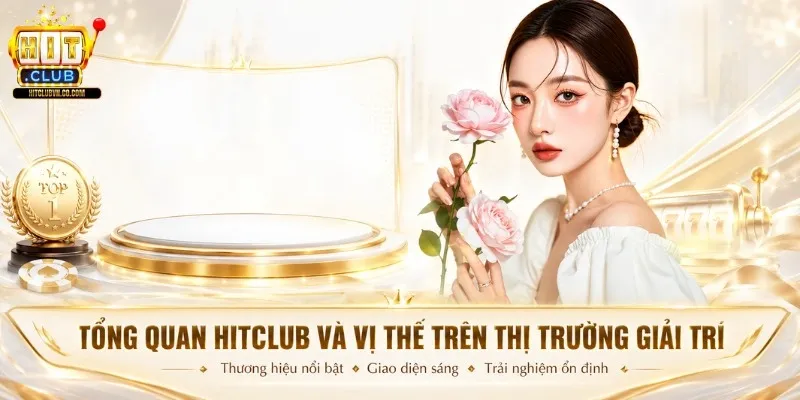 Trang web game đá gà cấp độ Winvn, chất lượng hàng đầu - Winvn