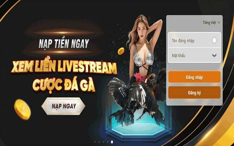 Các cấp độ phần thưởng và tiền thưởng trong trò chơi bắn cá cấp độ Fun88 - Fun88
