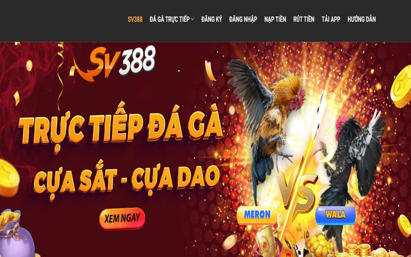 Bongdalu, một trang web thể thao đáng tin cậy mà bạn không nên bỏ lỡ - Bongdalu