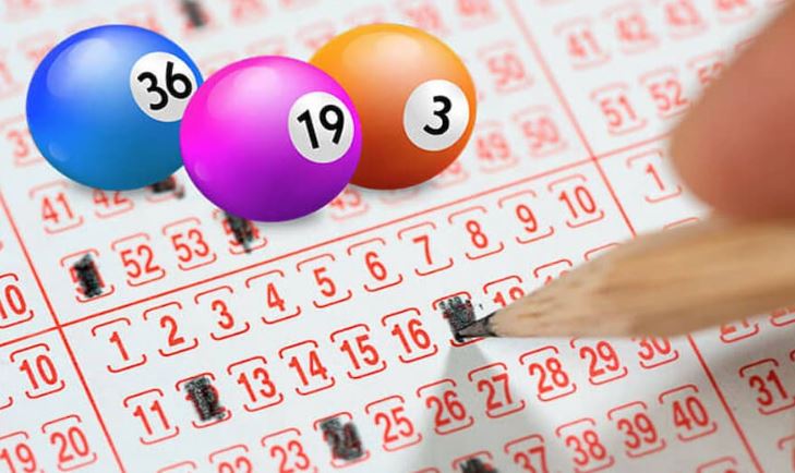 Những trò chơi chính trong các giải đấu cấp độ Gi8 là gì? - Gi8