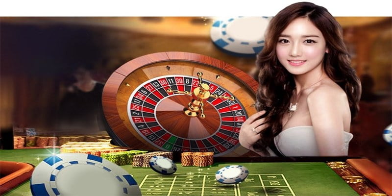 Tôi có thể lấy lại mật khẩu và tên người dùng Zm88 của mình bằng cách nào? - Zm88