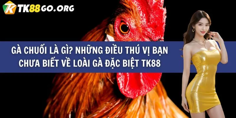 Giới thiệu thương hiệu Go88 - Go88