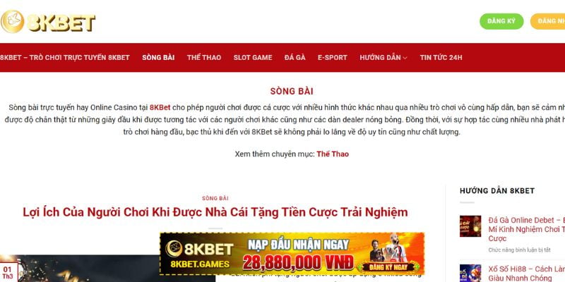 Những giải đấu nào cung cấp tỷ lệ cá cược bóng đá cấp độ 66Vn? - 66Vn